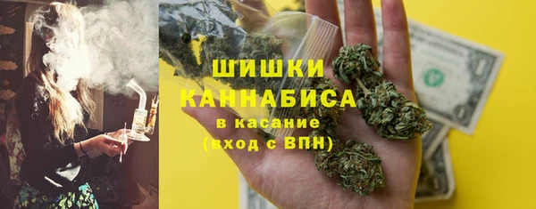молекула духа Костерёво