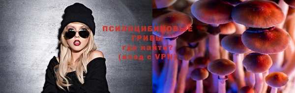 мяу мяу мука Алексин