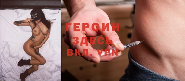 гидра Алексеевка