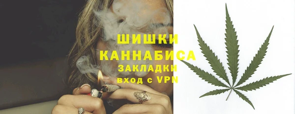 молекула духа Костерёво