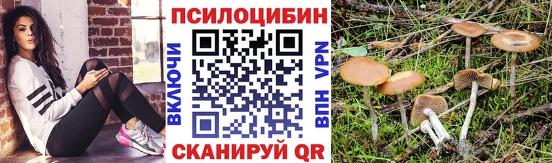 как найти закладки  MEGA ссылка  Псилоцибиновые грибы Magic Shrooms  Берёзовский 