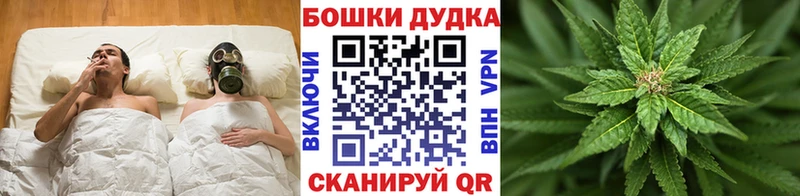 Конопля сатива  наркота  Берёзовский 